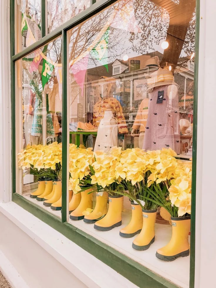 vitrine